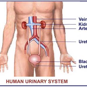 Urinary Tract Infection Drugs Information - Urinary Infection Remedies - Treating Urinary Tract Infections With Natural Health